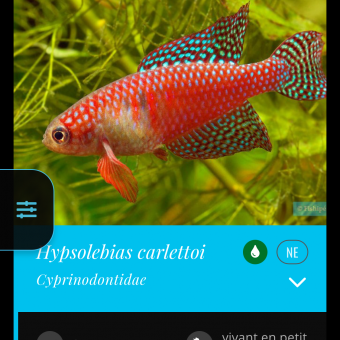 aquariophile Nono15lala