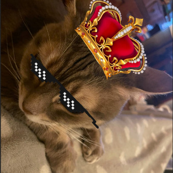 aquariophile Eaudouce19