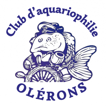 aquariophile Club_aquariophilie_OLERONS