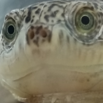 aquariophile aquariophilie2022