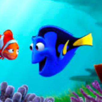 aquariophile Le-monde-de-nemo