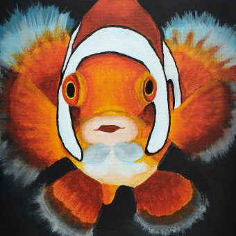 aquariophile Flowganne