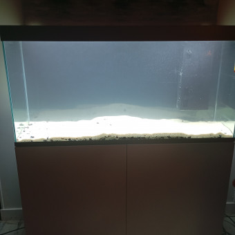 aquariophile Volodia