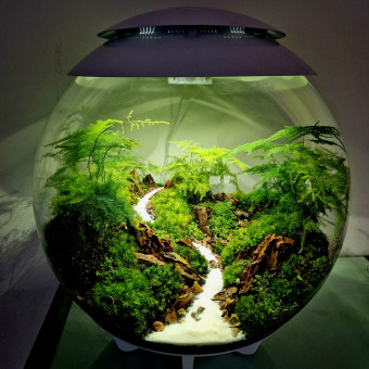 aquariophile Llac