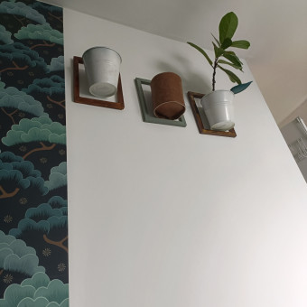 aquariophile Nathalie97119