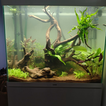 aquariophile Nutz