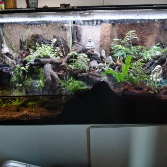 aquariophile NMAf