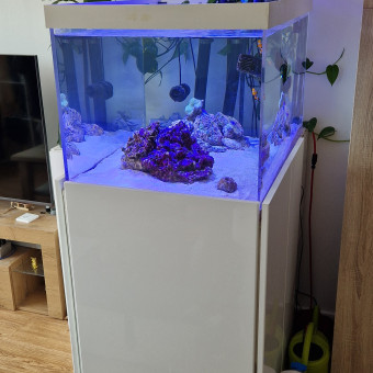 aquariophile Ceddu73
