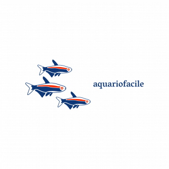 aquariophile Pascal62140