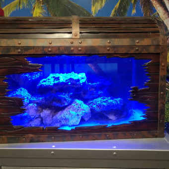 aquariophile collabois