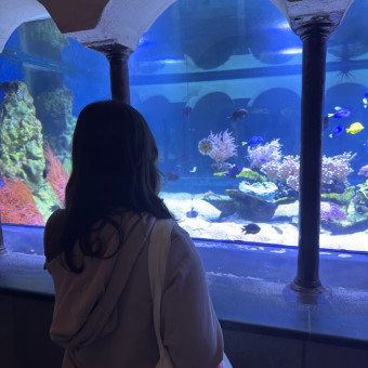 aquariophile Yunnie
