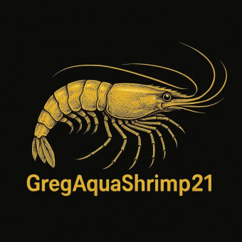 aquariophile Gregaquashrimp21