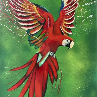 aquariophile laurent-colot