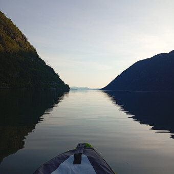 aquariophile Mael28000