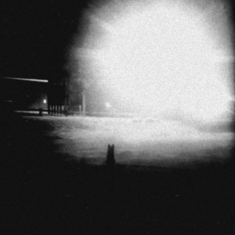 aquariophile Bullydogs77