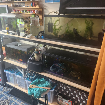 aquariophile Papa69
