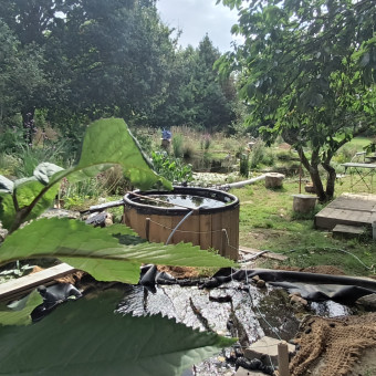 aquariophile Debouillon