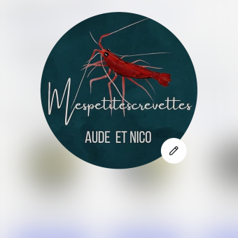 aquariophile Mespetitescrevettes