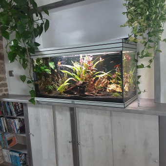 aquariophile Fredleretour22