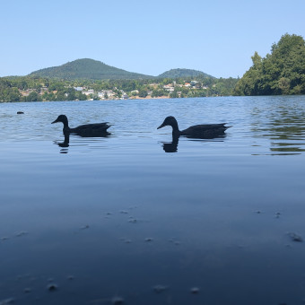 aquariophile Christophile