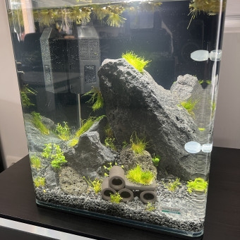 aquariophile Flo45