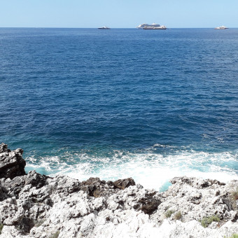 aquariophile Laura01