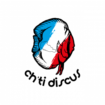 aquariophile Ch_tidiscus62