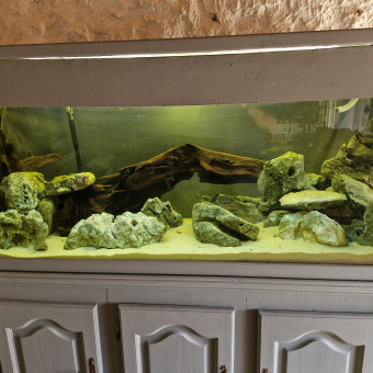 aquariophile ludo3407