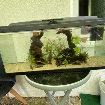 aquariophile Fish974