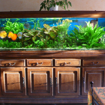 aquariophile klmprocessor