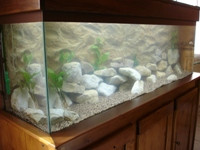 aquariophile klmprocessor