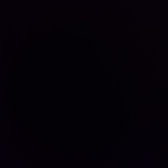 aquariophile King-Niglo