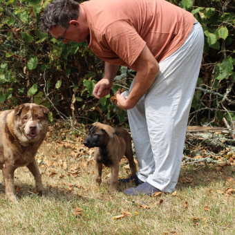 aquariophile Andre19