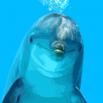 aquariophile Aleaujaigoutte63