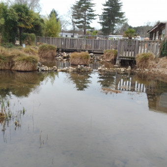 aquariophile Karim78