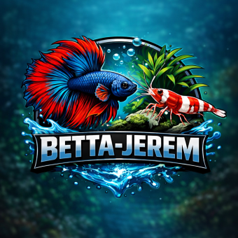 aquariophile BETTA-JEREM