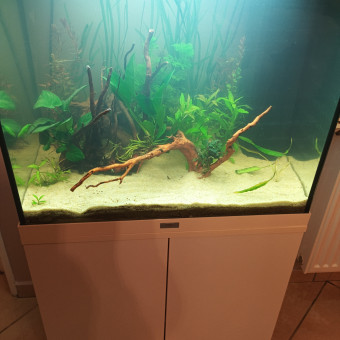 aquariophile Masta59430