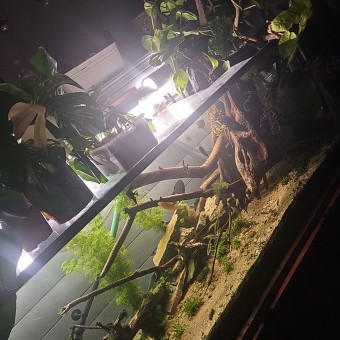 aquariophile Canage10