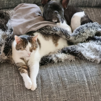 aquariophile Lafeeverte