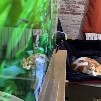 aquariophile Karen276