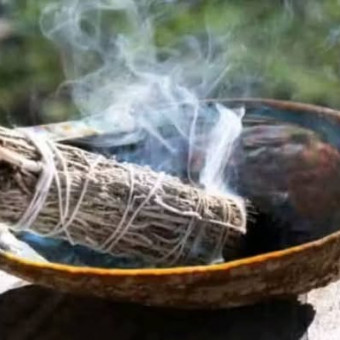 aquariophile bubaafrica