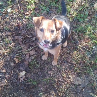 aquariophile Fred22lassy