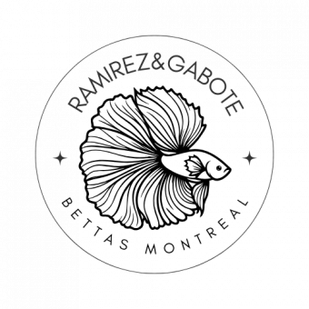 aquariophile Ramirez1984