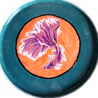 aquariophile SayroTDF