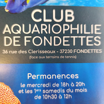 aquariophile clubaqua37