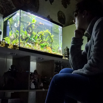 aquariophile EmiCoPuf