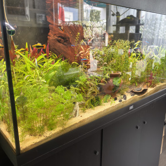 aquariophile Jo57100000