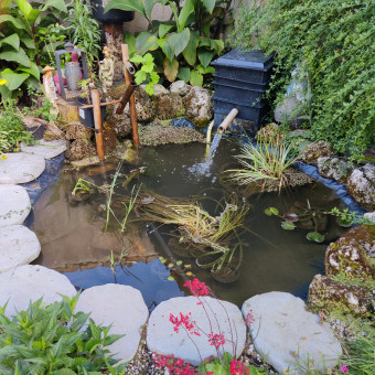 aquariophile Severinenrickyuna33