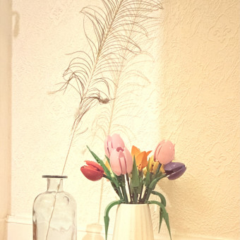 aquariophile Indigoblue501