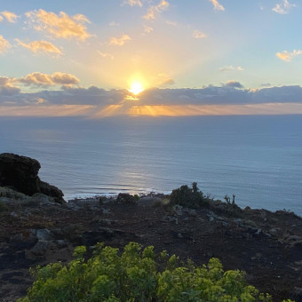 aquariophile Axojaja